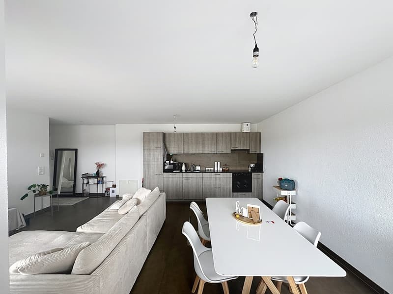 Attique avec grand balcon (3)