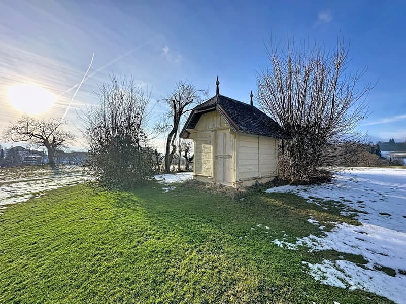 A vendre Magnifique propriété La Roche (7)