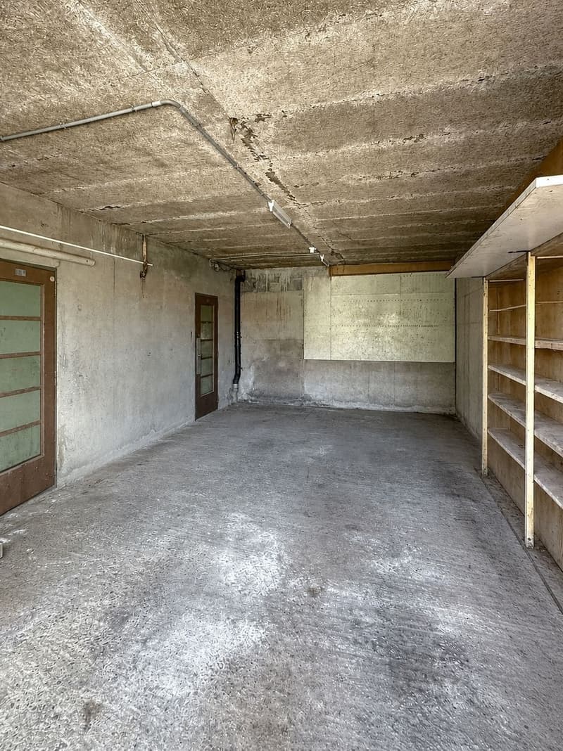 Maison familiale de deux appartements (9)