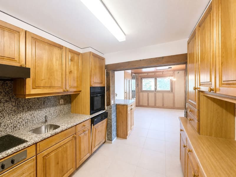 Maison familiale de deux appartements (2)