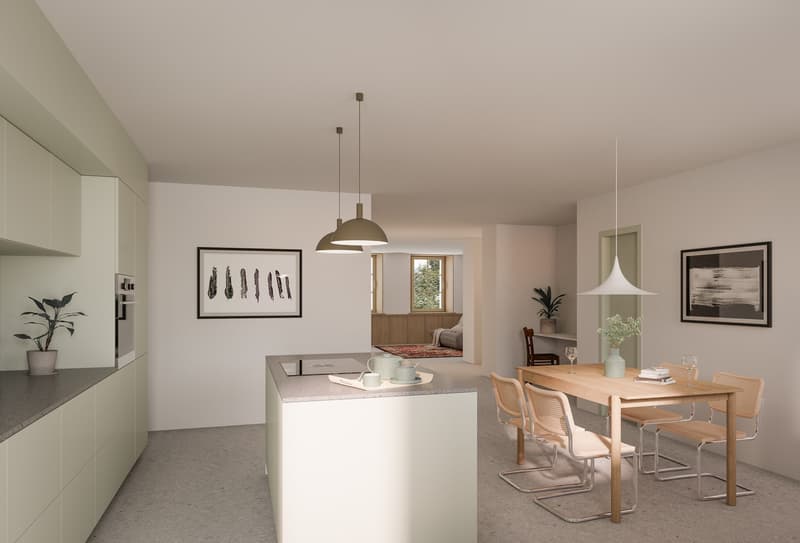 Appartement neuf de 4,5 pces au rez dans ferme rénovée (2)