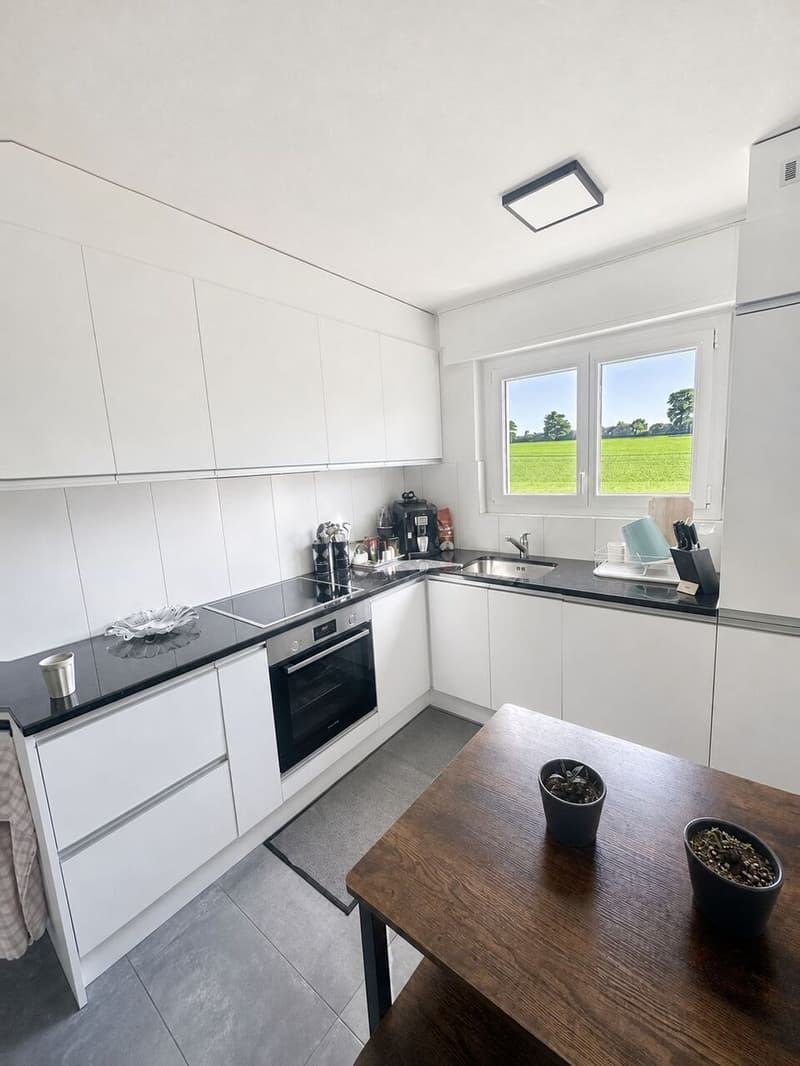 Appartement de 4,5 pces récemment rénové (2)