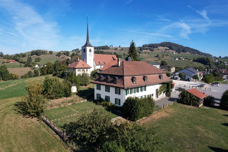 A vendre  Magnifique propriété  La Roche (2)