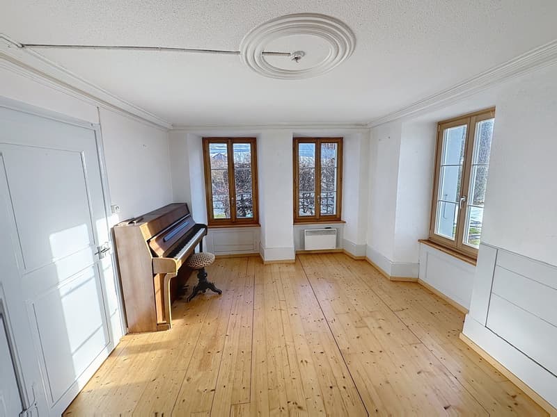 A vendre  Magnifique propriété  La Roche (4)