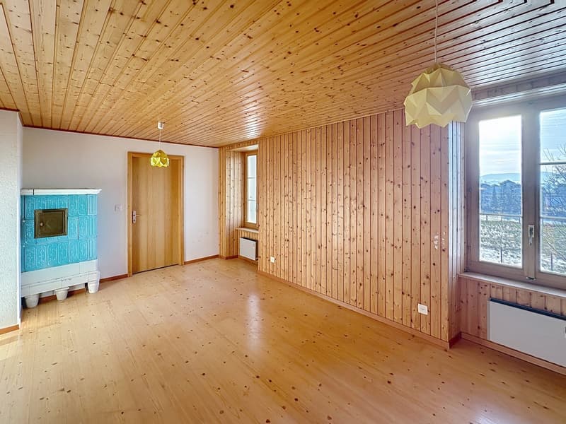 A vendre  Magnifique propriété  La Roche (5)