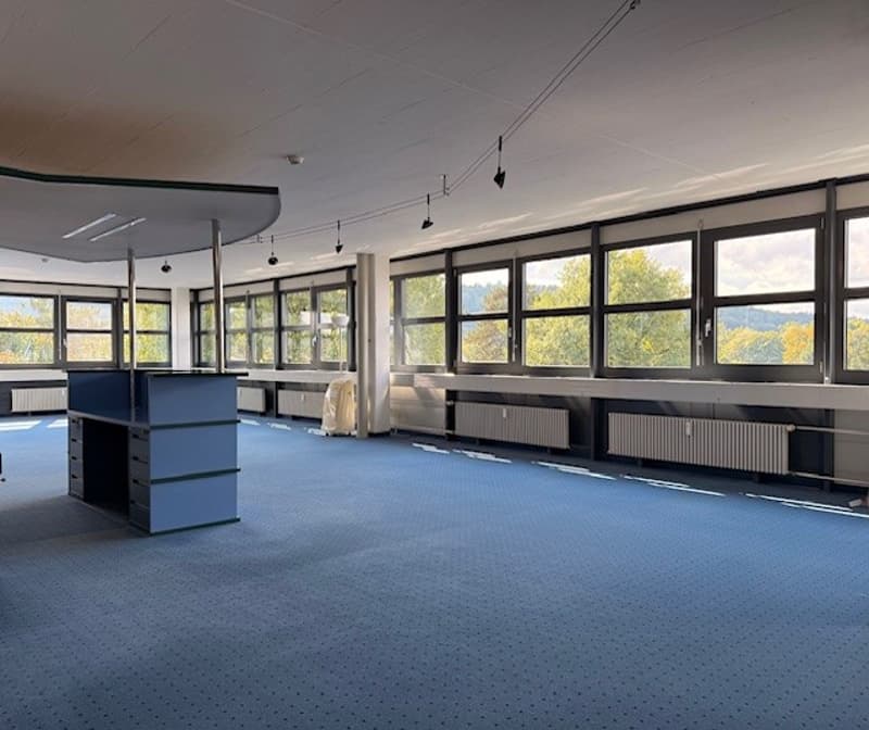 empty room, blue carpet, large windows, radiators, desk, lamps
