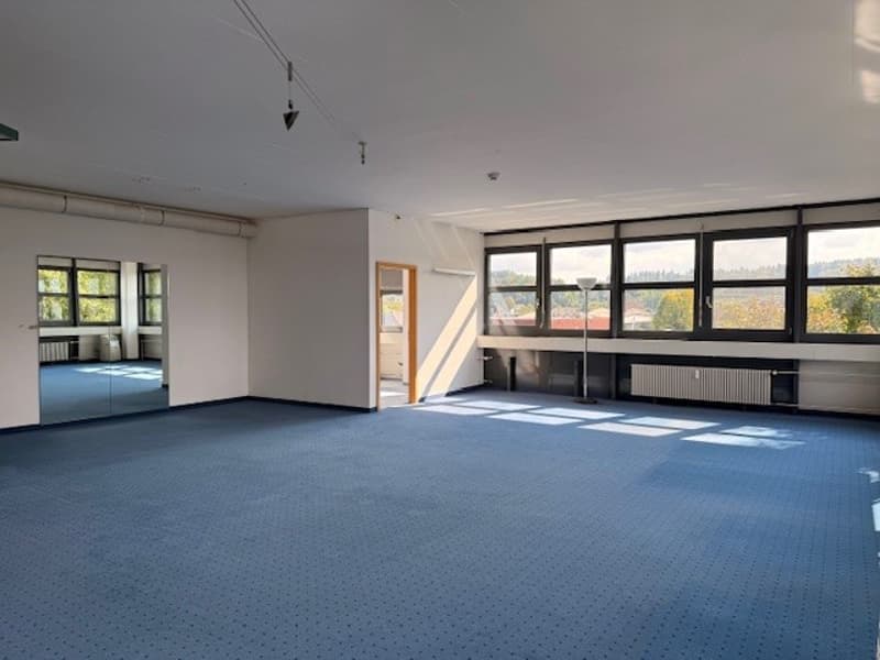 Empty room with blue carpet, white walls, large windows, radiators, and a ceiling lamp.