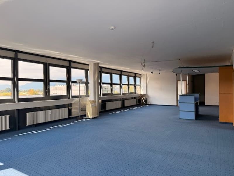 empty room, blue carpet, large windows, white walls, radiators, ceiling lamps