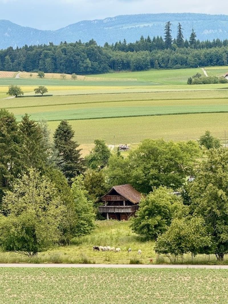 Moderne Eigentumswohnung (Attika) in Lüterkofen (SO), nahe Bern und Solothurn (7)
