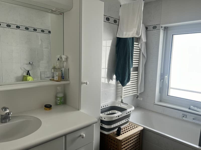 APPARTEMENT 4.5 pces (7)