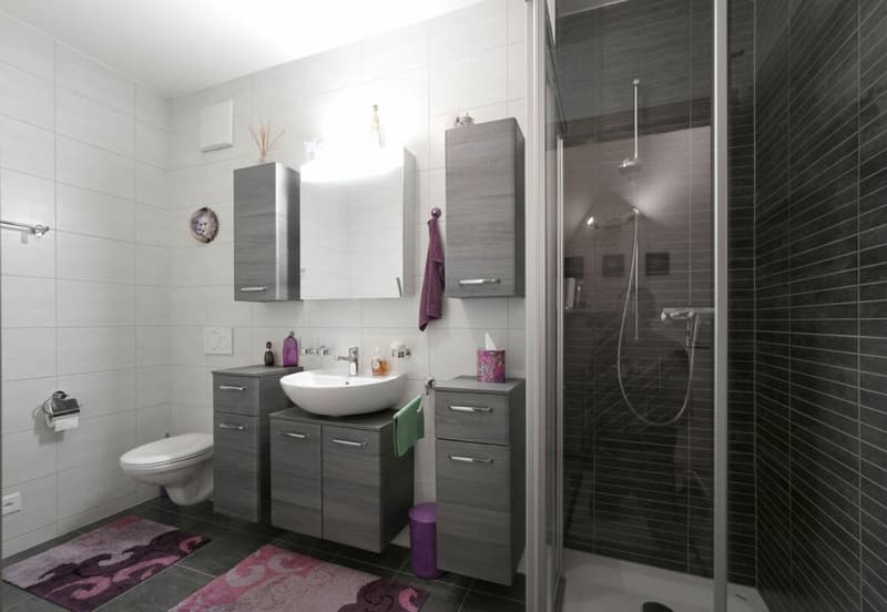 Bel appartement (8)