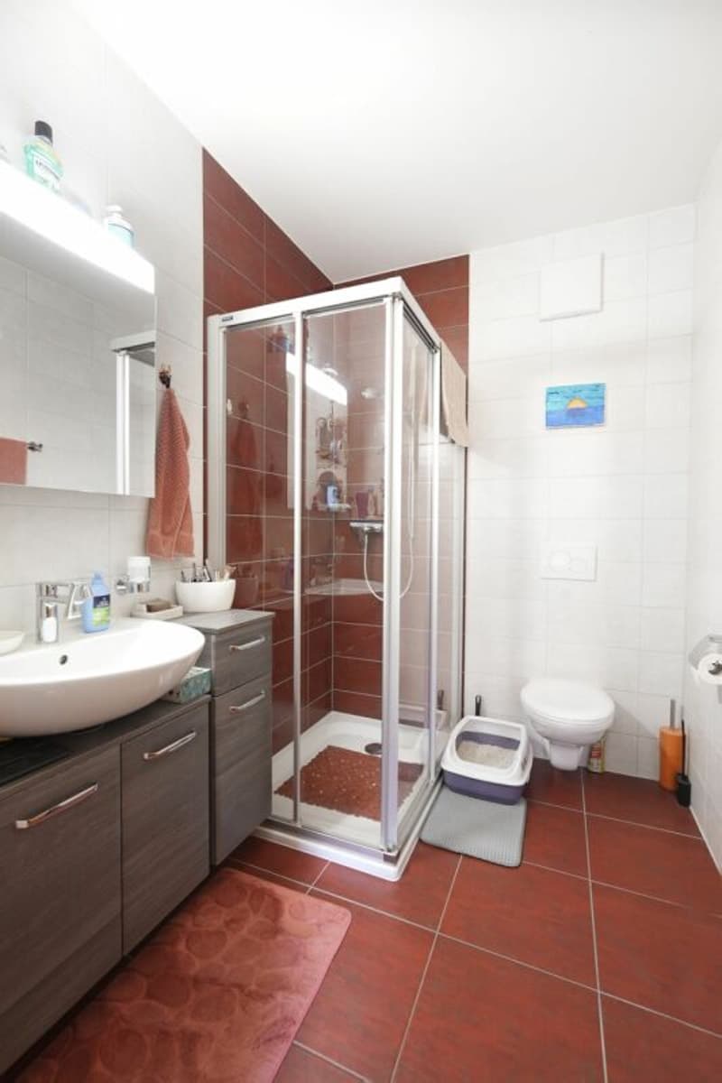 Bel appartement (7)