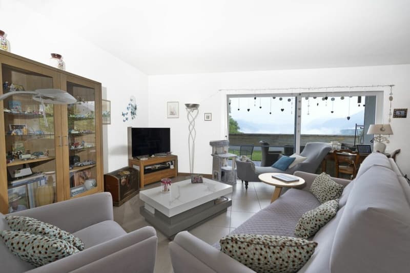 Bel appartement (3)