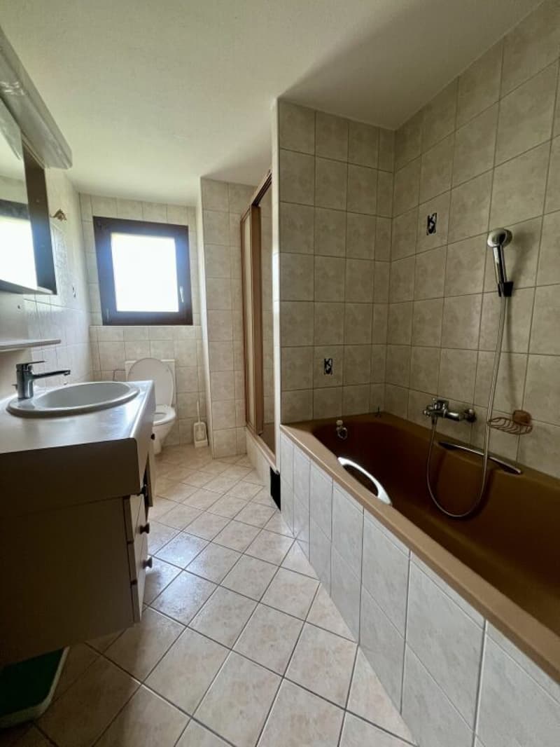 4.5 pces  sous toiture au calme (8)
