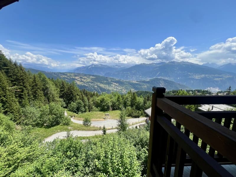 Superbe chalet dans la nature (1)