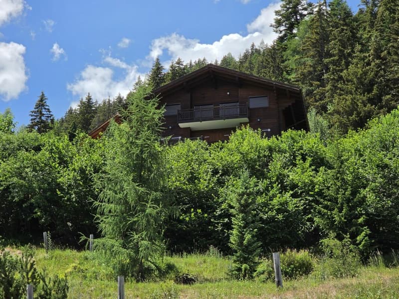 Superbe chalet dans la nature (2)