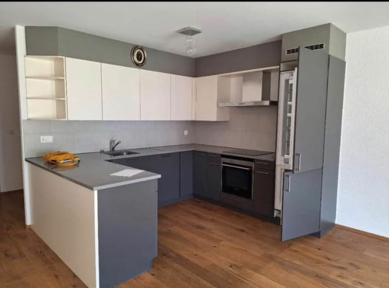 Appartement Lumineux (2)