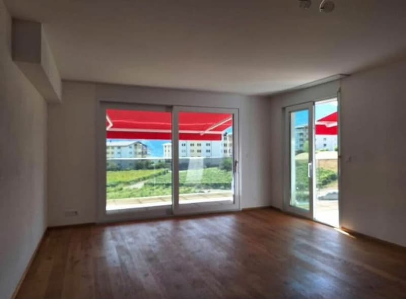 Appartement Lumineux (3)