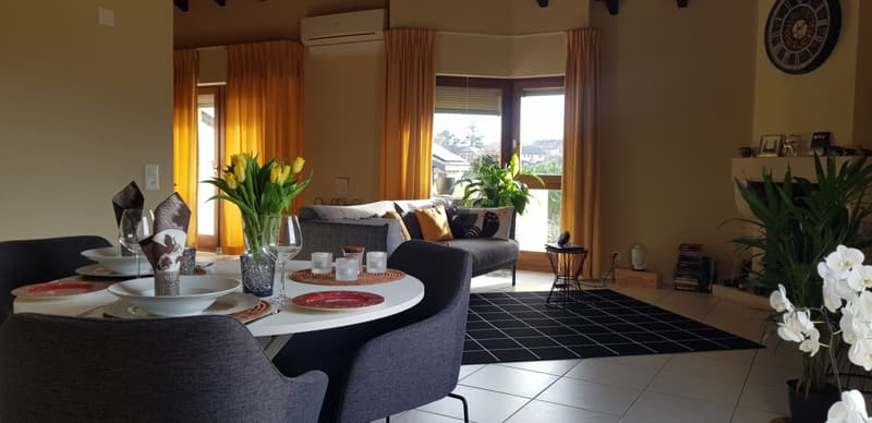 Terre-Sainte: Spacieux duplex du type Loft