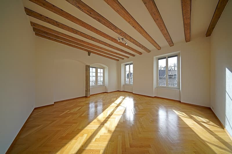 Spacieux appartement 6.5p de charme et de caractère