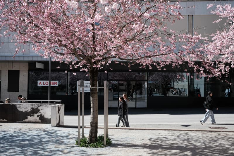 Devenez la vitrine d'un quartier vivant (13)