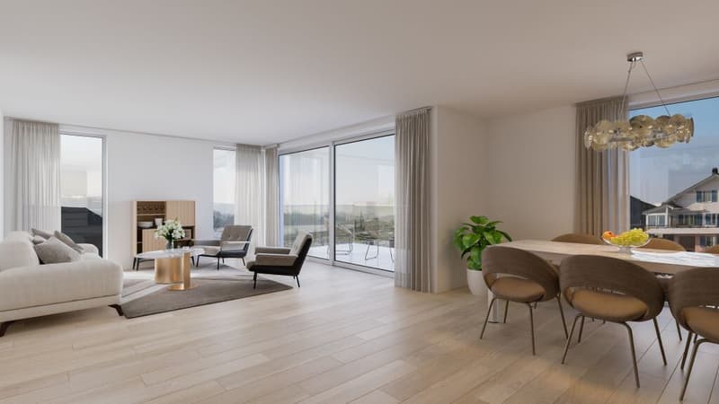 A vendre appartement de 2,5 ces avec jardin sur la Commune de Misery (7)