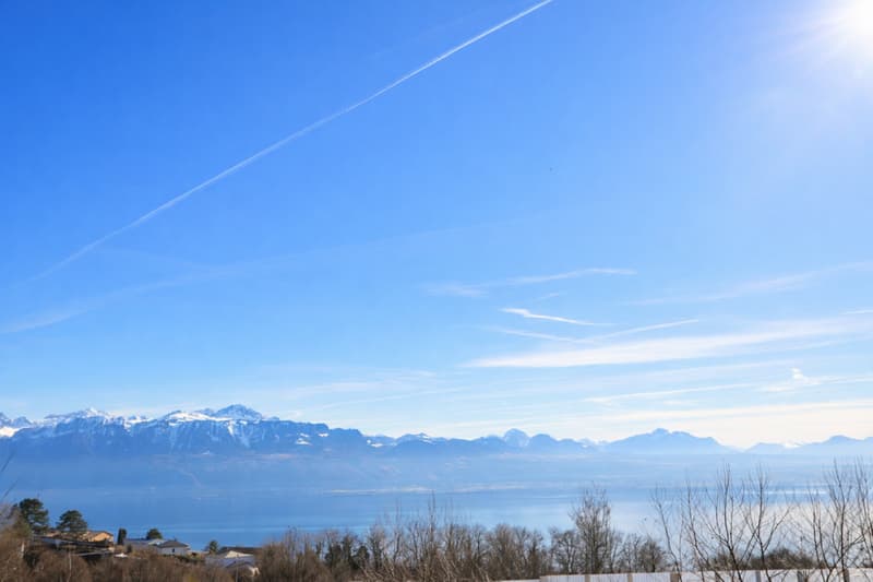 Villa individuelle de 4.5 pièces avec vue lac et fort potentiel dagrandissement (6)