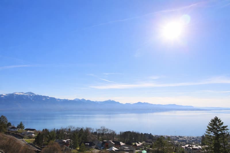 Villa individuelle de 4.5 pièces avec vue lac et fort potentiel dagrandissement (5)