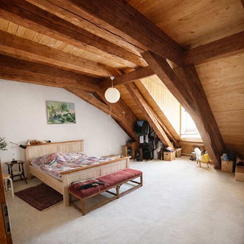 A vendre au coeur de la Vieille Ville de Fribourg un magnifique attique (6)