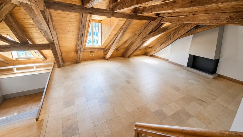 A vendre au coeur de la Vieille Ville de Fribourg un magnifique attique (2)