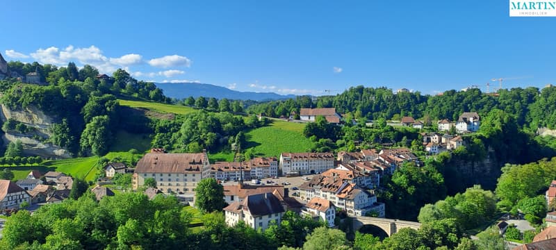 A vendre au coeur de la Vieille Ville de Fribourg un magnifique attique (10)