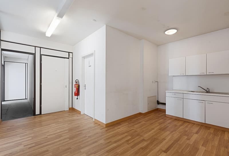 Eaux-Vives - Des bureaux au cur dun quartier vivant et stratégique (4)