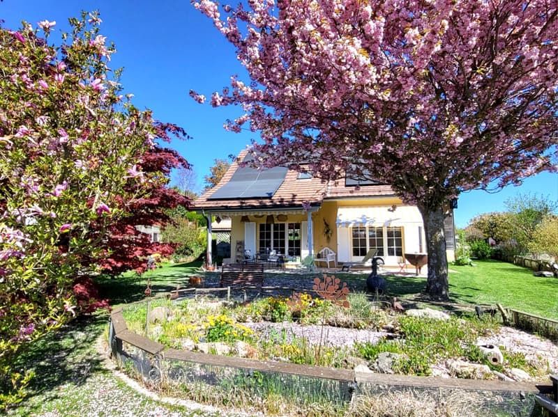 Villa individuelle de 5.5 pièces au centre du village (4)