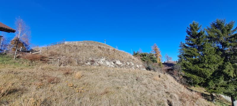 À vendre - Terrain à Nax (Pelleivro) - 1'377 m² - Zone chalet (4)