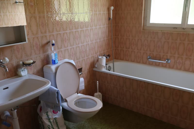 Maison avec situation unique  - un air de campagne à la ville (6)