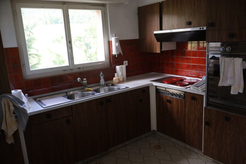 Maison avec situation unique  - un air de campagne à la ville (7)