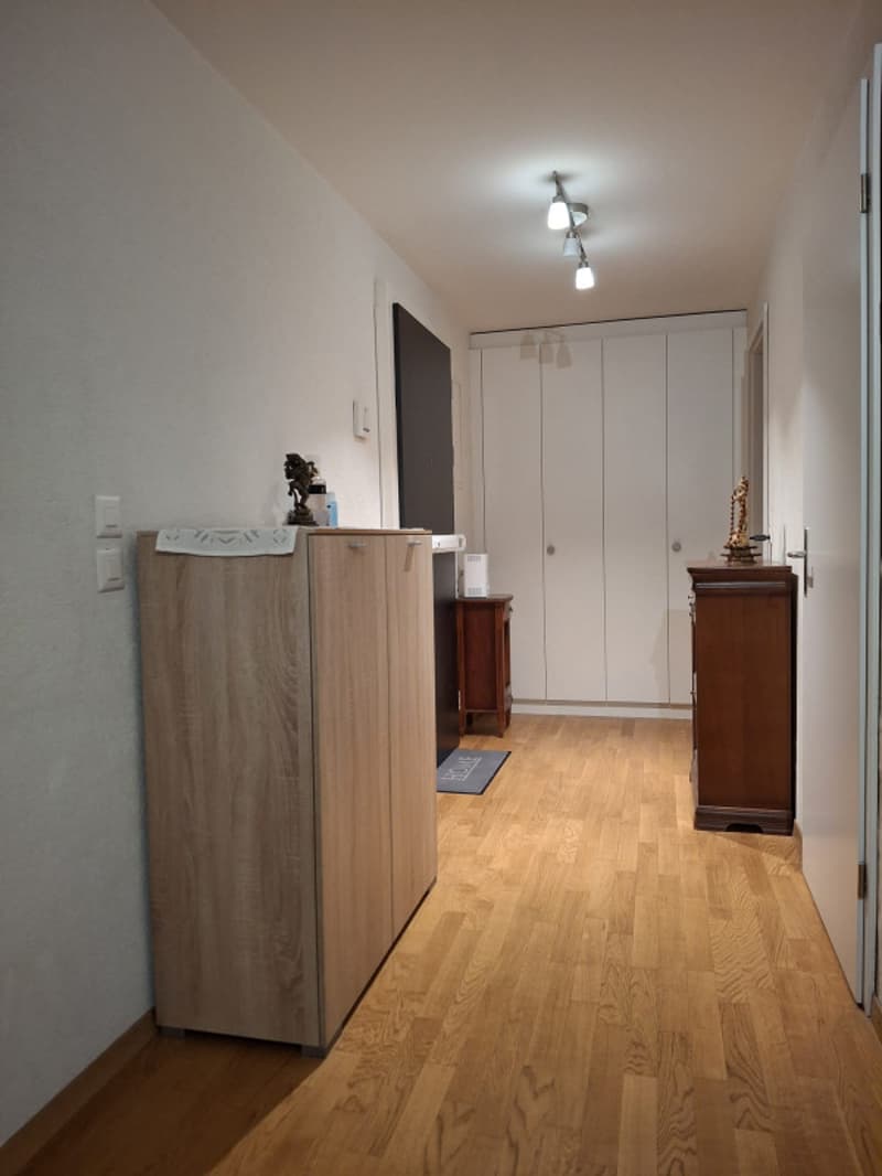 Magnifique 5 pièces sur la Rue de Carouge avec balcon (5)