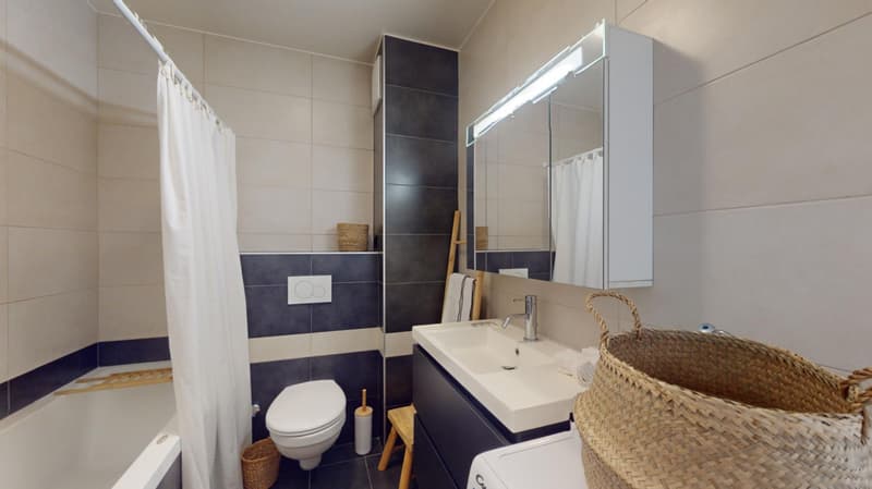 APPARTEMENT 3 PIECES MEUBLE - en face de la gare des Eaux-Vives (3)