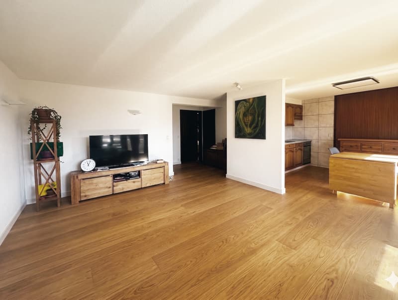 Splendide appartement 2,5 pièces à 10 minutes de Sion ! (1)