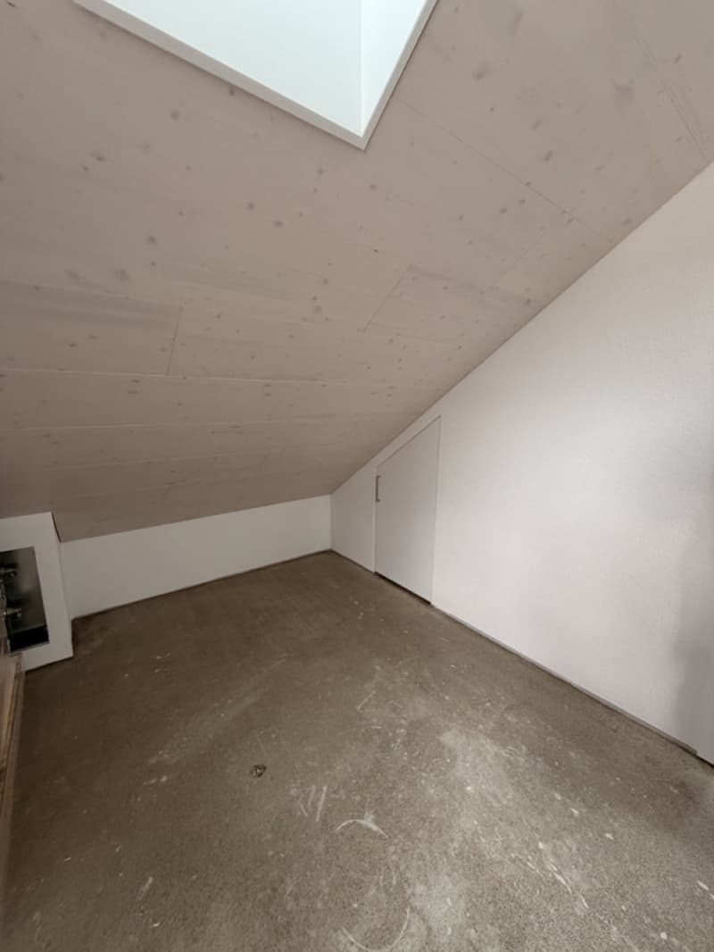 Magnifique 3,5 pièces en duplex entièrement rénové avec accès privatif (5)