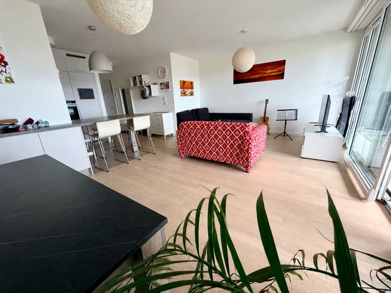 Appartement contemporain avec vue dominante sur Genève, dans un écrin de verdure (5)