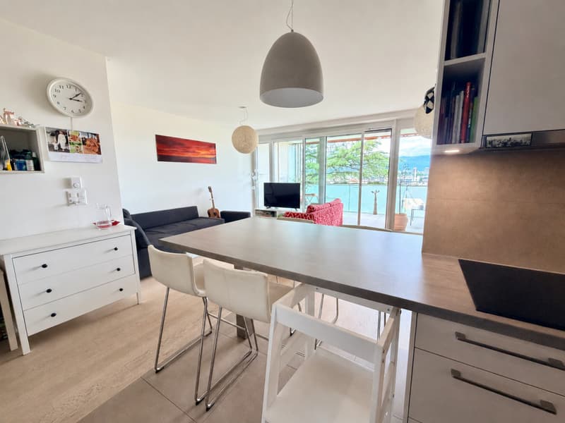 Appartement contemporain avec vue dominante sur Genève, dans un écrin de verdure (4)