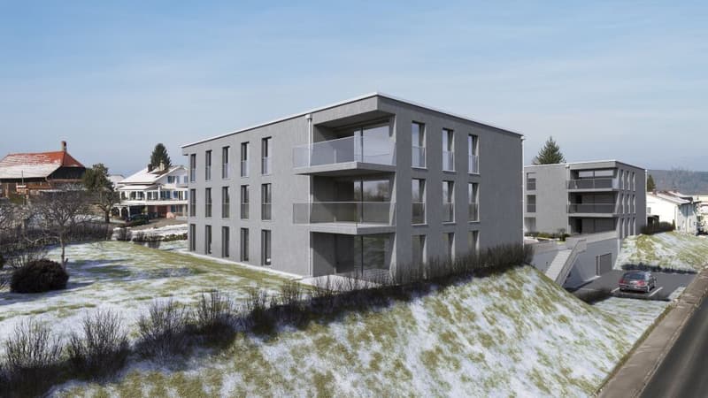 A vendre appartement de 2,5 pces sur la Commune de Misery (1)