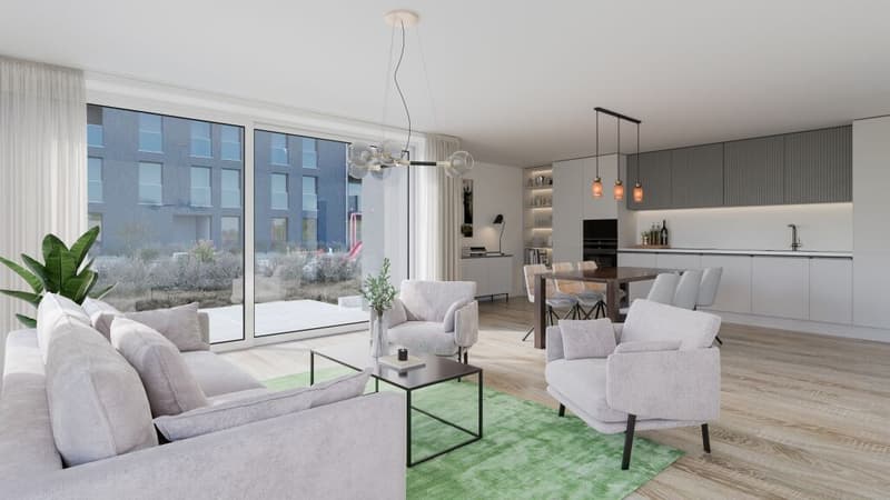 A vendre appartement de 2,5 pces sur la Commune de Misery (7)