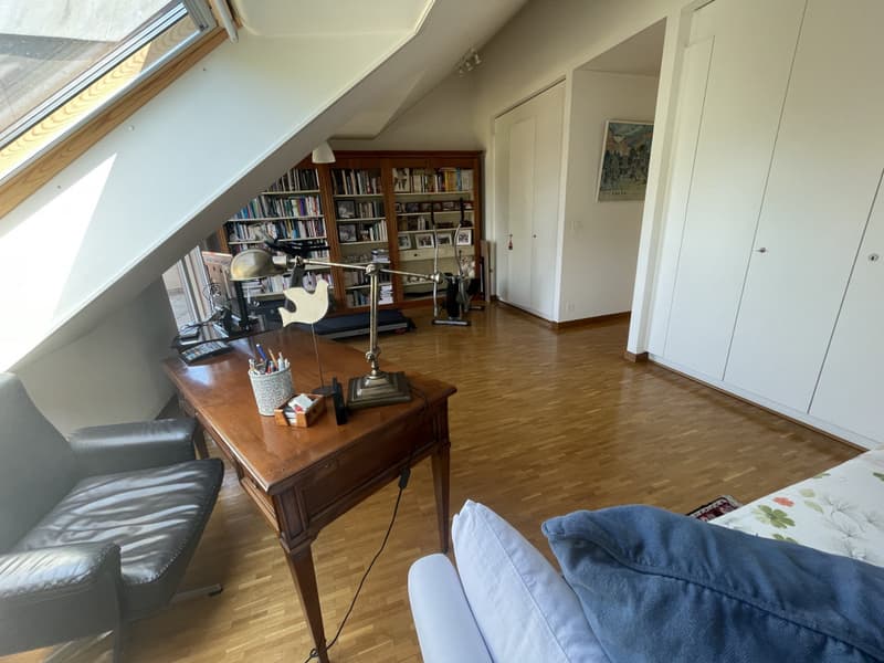 Appartement de standing de 5 pièces, avec terrasse vue Mont-Blanc et parking (9)
