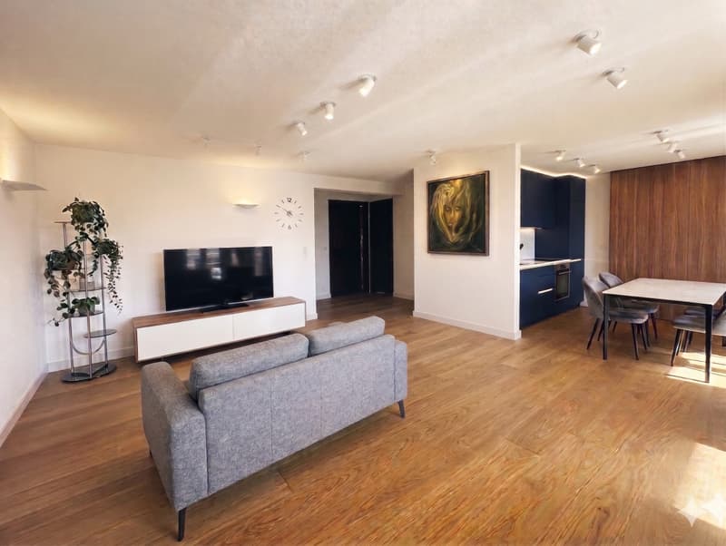 Splendide appartement 2,5 pièces à 10 minutes de Sion ! (1)