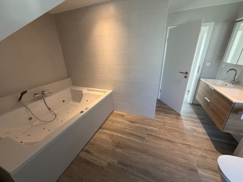 Villa contemporaine avec vue sur le lac, piscine et prestations d'exception (5)