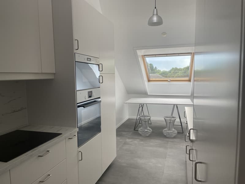 Appartement de standing  de 5 pièces, avec terrasse vue Mont-Blanc et parking (11)