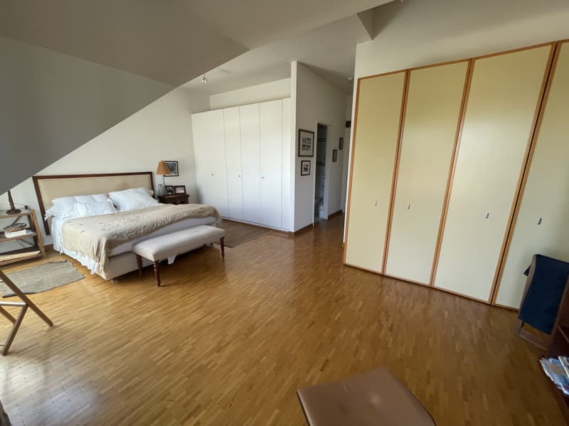 Appartement de standing  de 5 pièces, avec terrasse vue Mont-Blanc et parking (10)