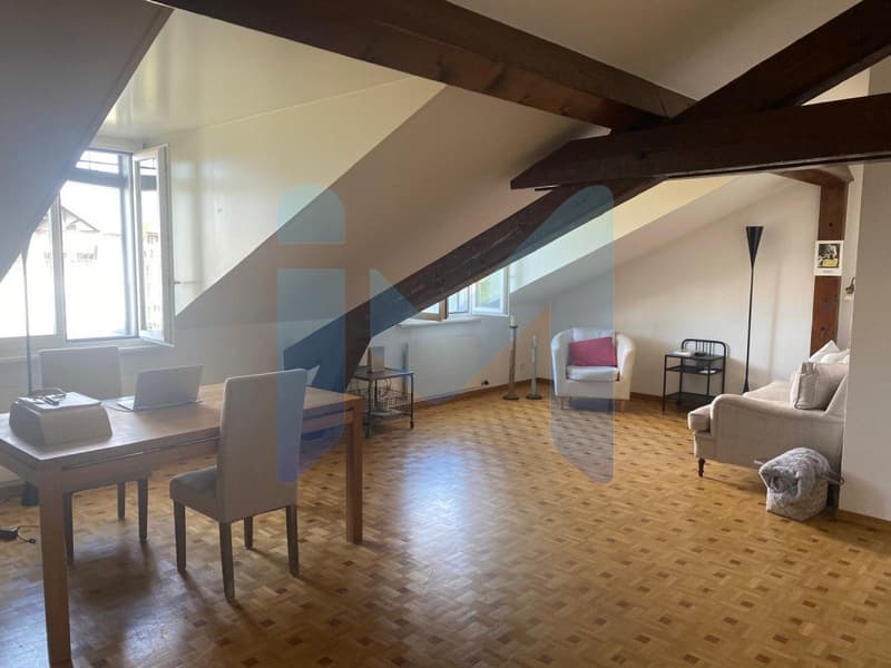 Appartement de 4,5 pièces au 5eme étage situé à Genève 1205 (3)